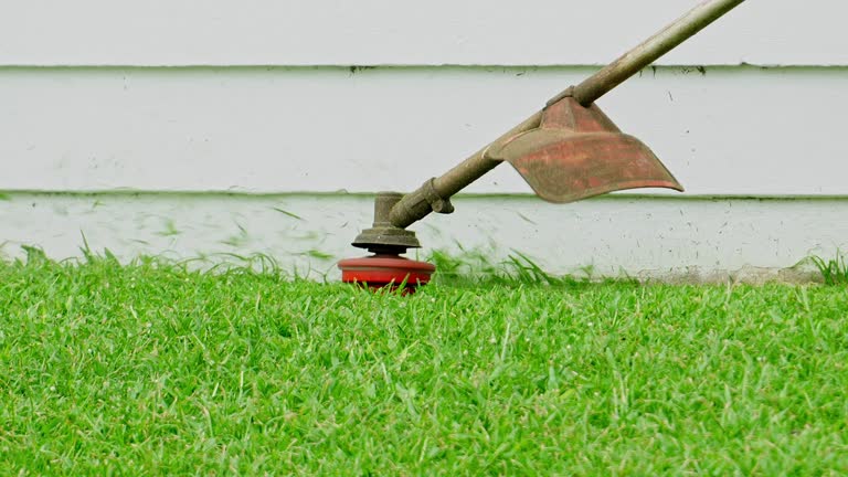 Best Arborist Consultation Services  in Nicholasville, KY