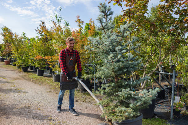 Best Weed Control  in Nicholasville, KY